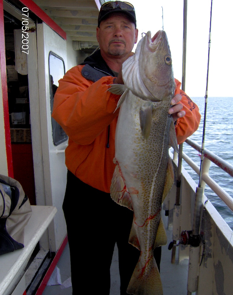 A nice Cod
