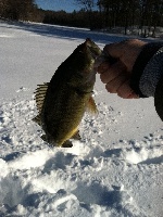 Click to View Full Size